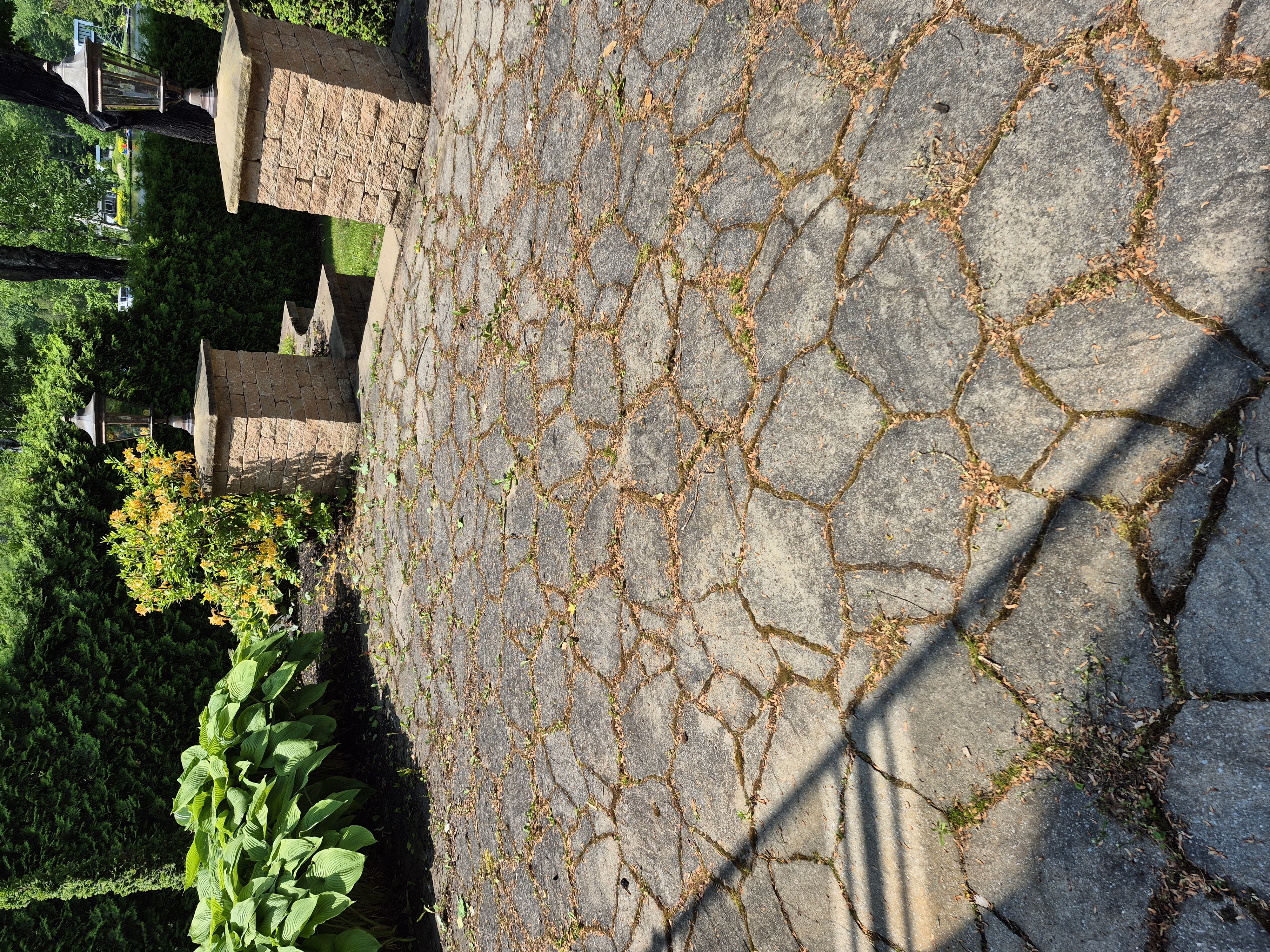 Pavé avant lavage